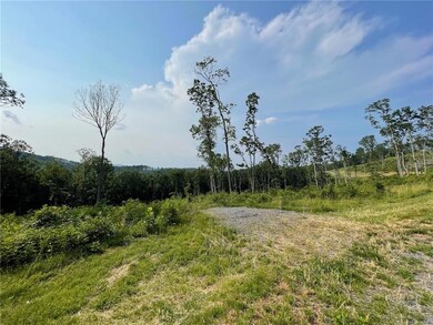 View of local wilderness