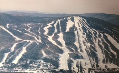 8 B Freestyle Cir, Dover, VT 05356 - photo 2