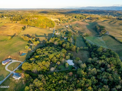 645 Elmwood Rd, Midway, TN 37809 - photo 5