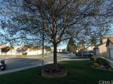 Front yard 