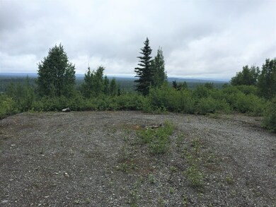 Denali Cabin 2