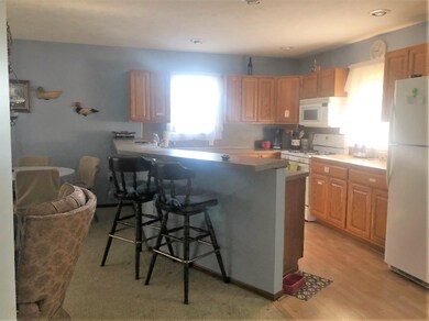 11098 N Harrison Ave, Bitely, MI 49309 - photo 4