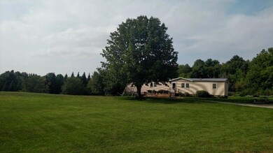 Look at the expansive yard!