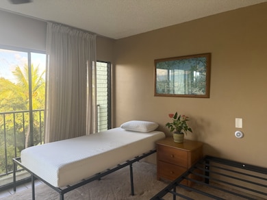 3-3400 Kuhio Hwy unit C306, Lihue, HI 96766 - photo 6