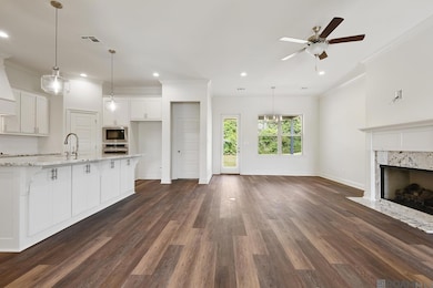 36124 Belle Parc Ave, Geismar, LA 70734 - photo 3