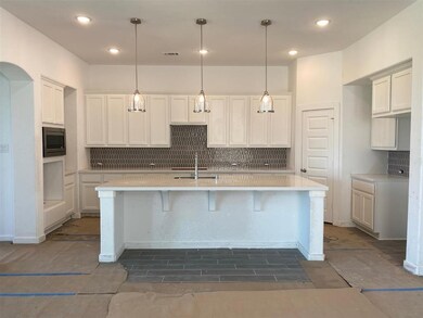 23635 Lively Ferry Ln, Richmond, TX 77469 - photo 5