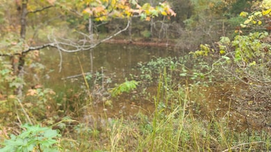 79 Hidden Valley Dr, Conway, AR 72034 - photo 3