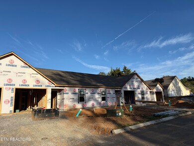 7327 Woodpecker Way unit 24, Knoxville, TN 37921 - photo 5