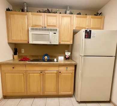 123 Center St unit 103, Lake Geneva, WI 53147 - photo 7