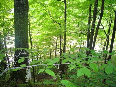 Lot faces the West; Perfect to watch sunsets.