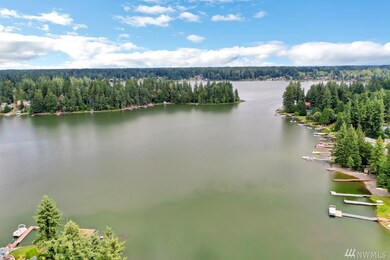 16722 Pleasant Beach Dr SE, Yelm, WA 98597 - photo 2