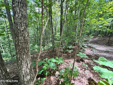 0 E Loomis Rd, Jamestown, TN 38556 - photo 6