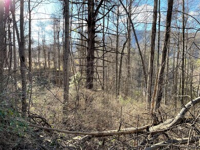 Hampton View Dr 5