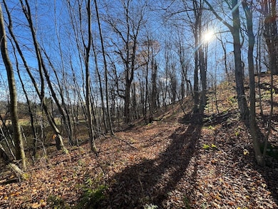 0 E Mountain Rd, Pleasant Mount, PA 18453 - photo 2