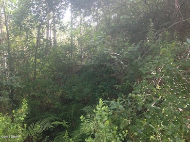 4613 Herin Dr, New Smyrna Beach, FL 32168 - photo 2