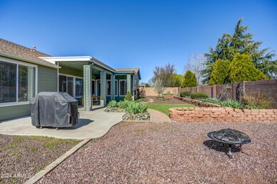Back Yard 1