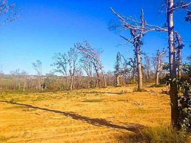 Land/Lot.
