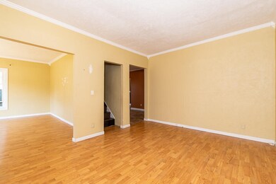 RN5_1545