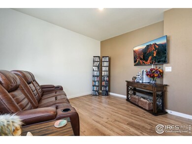 1233 Lily Mountain Rd, Severance, CO 80550 - photo 6