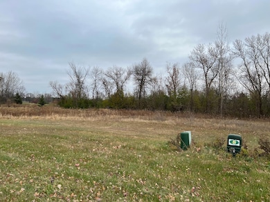 804 13th Ave N, Sartell, MN 56377 - photo 2