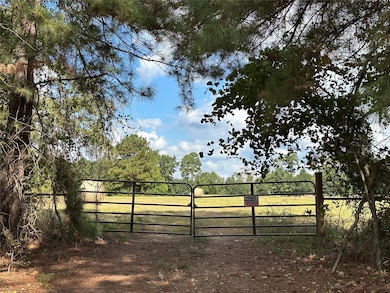11 ac W Danville Rd, Willis, TX 77378 - photo 3
