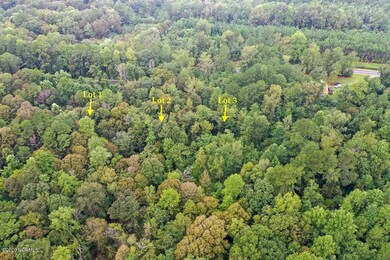 20200909-DJI_0807