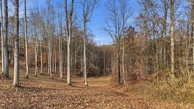 481 Hidden Forest Trail, Spring City, TN 37381 - photo 4
