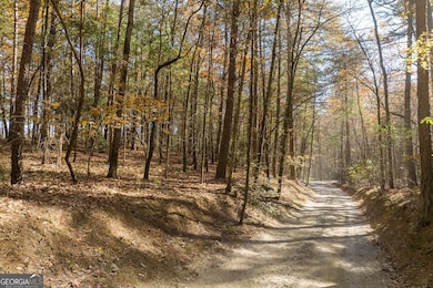 TR 2 Old Anderson Creek, Ellijay, GA 30536 - photo 4