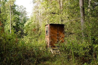 0 Grice Rd, Columbia, MS 39429 - photo 6