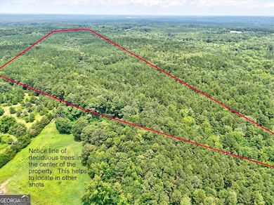 0 Lexington Hwy unit 10565392, Elberton, GA 30635 - photo 2