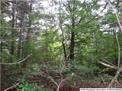 0 Dogwood Ranch Cir unit 2291518, Victoria, MS 38679 - photo 3