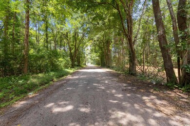 View of asphalt street with a view of trees