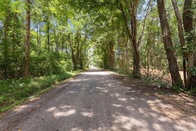 View of asphalt street with a view of trees