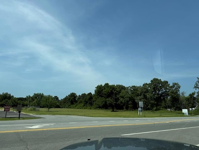 1194 U S Hwy 82-Parcel B, Georgetown, GA 39854 - photo 3