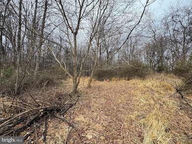 0 Peach Tree Rd unit MDMC2210762, Dickerson, MD 20842 - photo 4