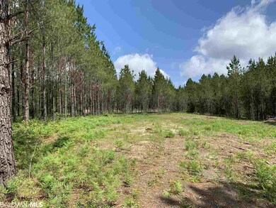 31810 Happy Hollow Rd, Robertsdale, AL 36567 - photo 3