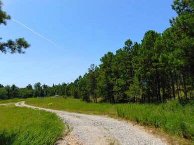 tbd Peach Creek Rd, Fan, OK 74935 - photo 4