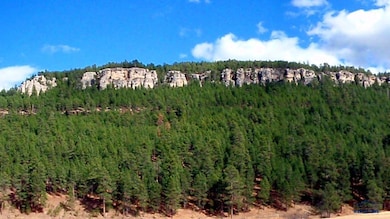 12726 Nemo Rd, Nemo, SD 57759 - photo 3