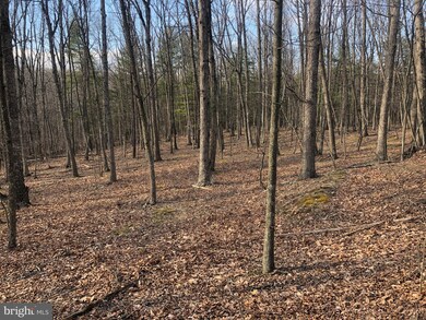 0 Little Cacapon Mountain, Gore, WV 26704 - photo 2