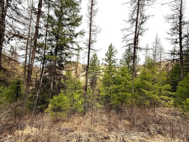 TBD Giveout Creek Rd, Wauconda, WA 98859 - photo 7