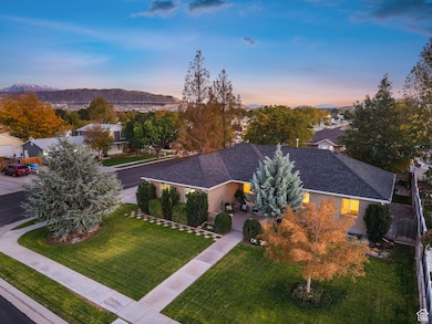 View of front of house featuring a front yard, stucco siding, a shingled roof, a residential view, and a patio area
