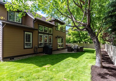 Backyard View