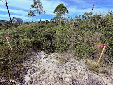 Entrance at Street 2