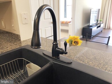 12925 Centre Park Cir unit 303, Herndon, VA 20171 - photo 3