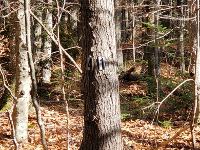 Lot 41 Fernalds Hill Way, Stow, ME 04037 - photo 4