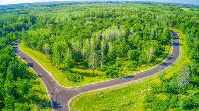 L5B1 Acorn Ridge Rd NW, Bemidji, MN 56601 - photo 4