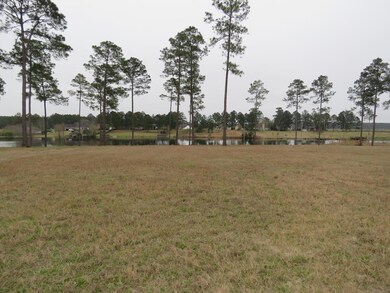 00 Mallard Pointe unit 85, Douglas, GA 31535 - photo 2