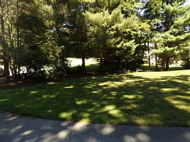 Yard/Garden.
