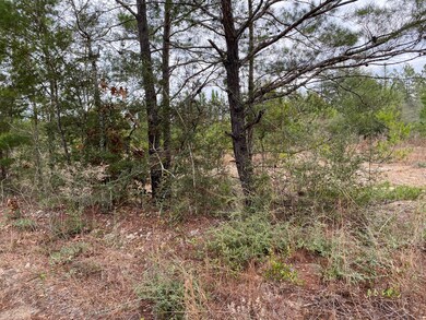 Walton Land 3
