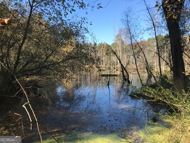 0 Hall Memorial Rd NW unit 9595, Calhoun, GA 30701 - photo 4